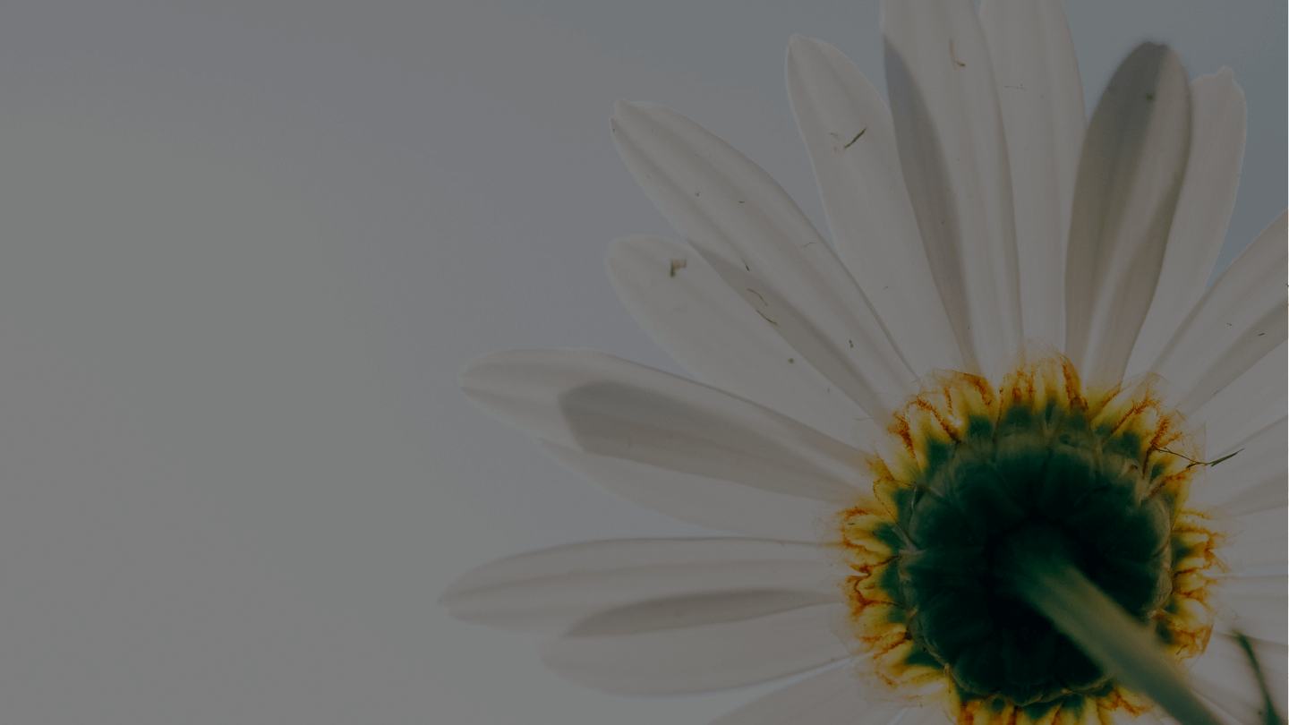 The key benefits of Virtual Technology in Your Organization