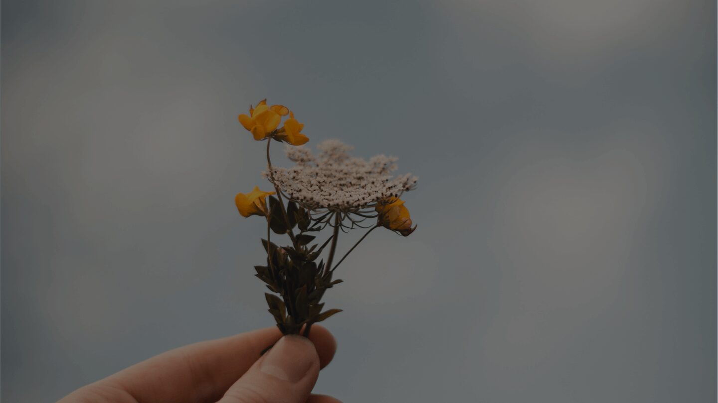 Hand holding small wildflowers against sky.